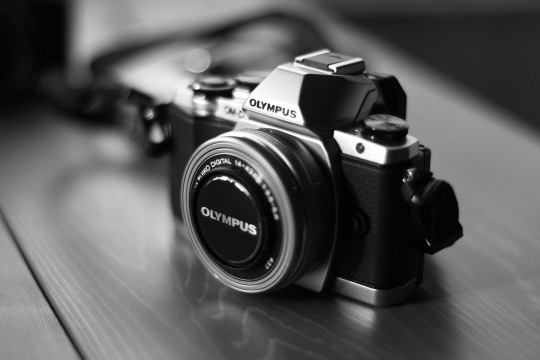 vintage camera olympus om1